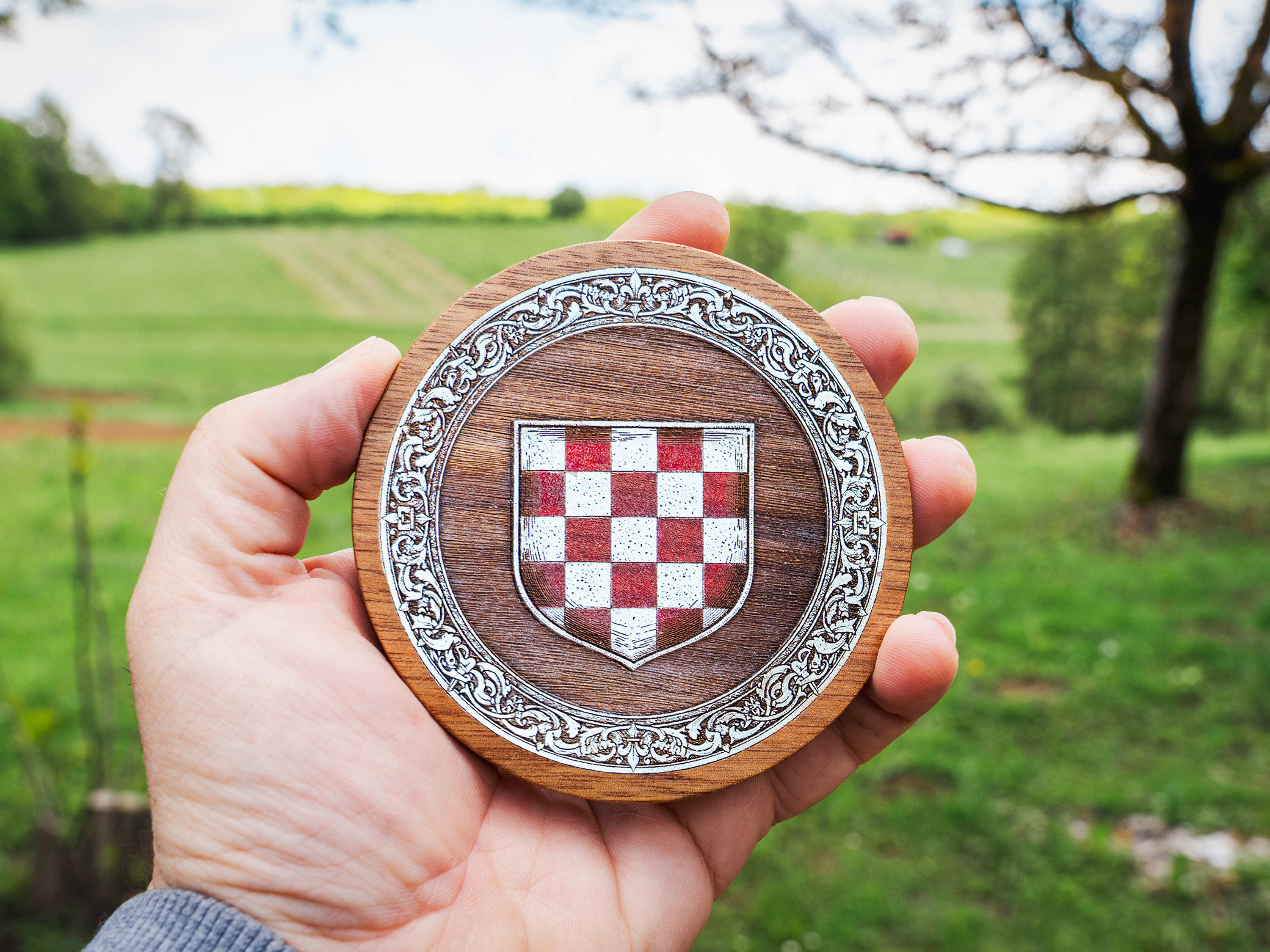 Croatian Grb Colour